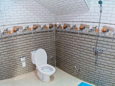 Shantir Sarl gallery